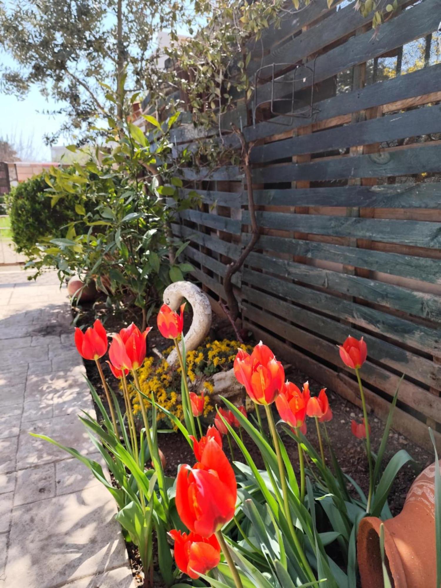 Mary's Cozy Alexandroupoli